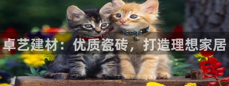 杏鑫平台代理注册要钱吗