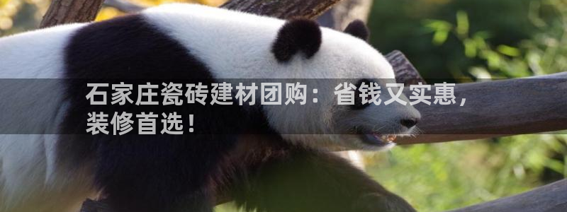 杏鑫平台代理注册流程