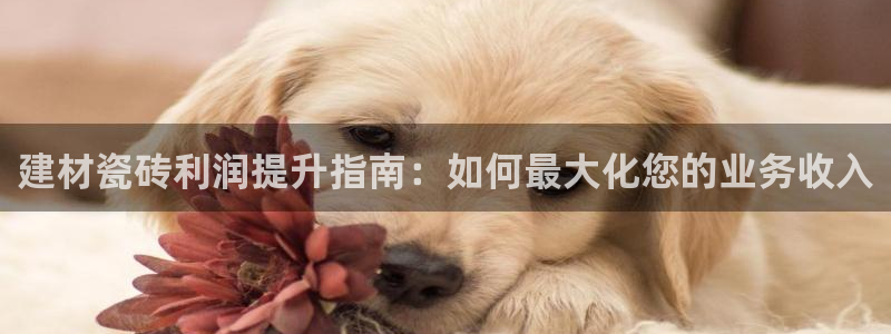 杏鑫官网注册账号怎么注册的