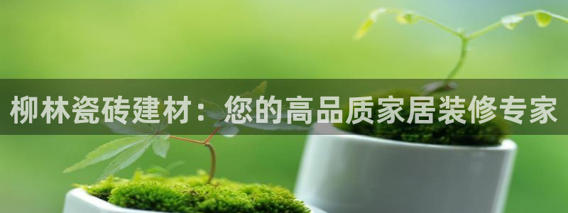 杏鑫注册登录地址