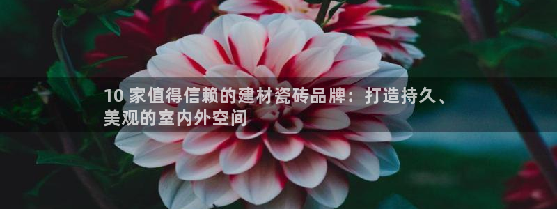 杏鑫平台登录地址是什么