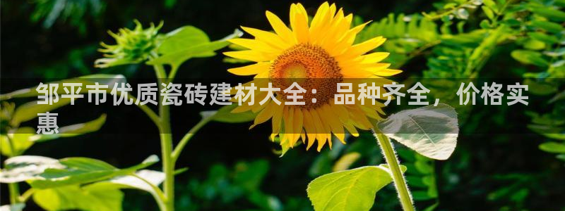 杏鑫平台注册入口在哪里找