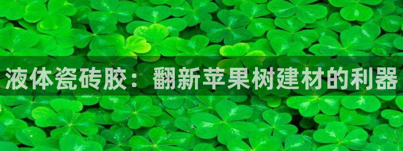 杏鑫官网注册账号怎么注册