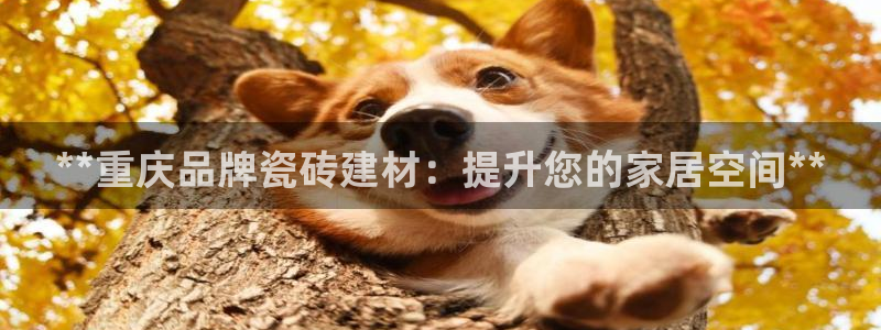 杏鑫娱乐是真的吗知乎