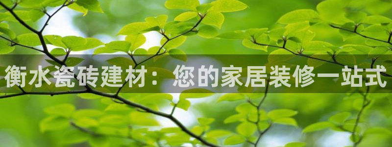 杏鑫招商总代