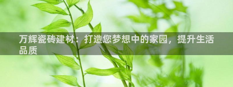 杏鑫娱乐开发团队