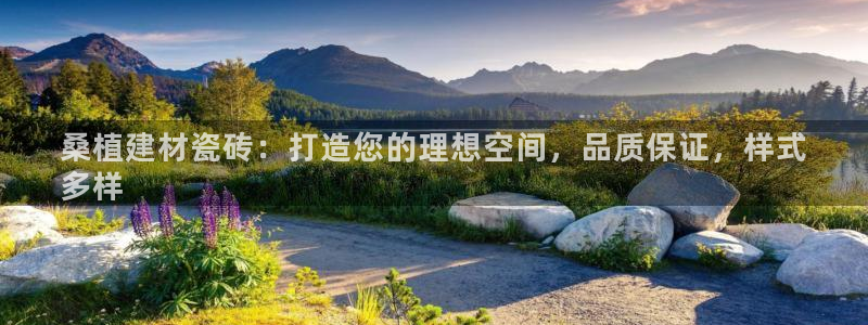 杏鑫注册平台官方网站