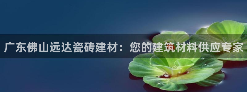 杏鑫官方平台怎么样啊可靠吗