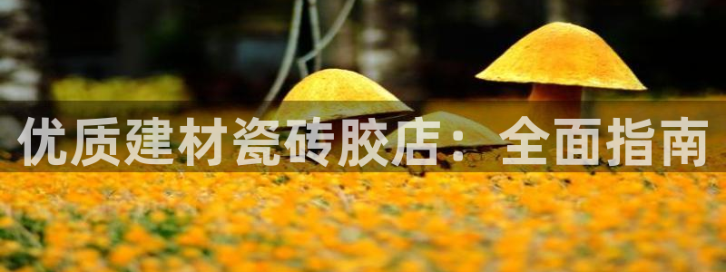 杏鑫官网注册账号怎么注册的