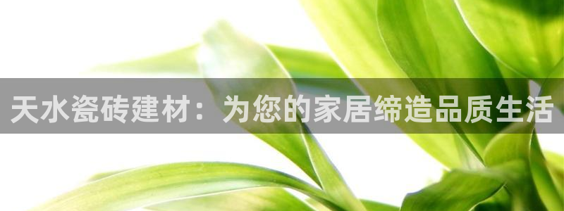 杏鑫平台是黑平台吗