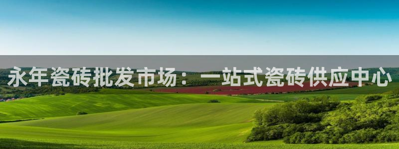 杏鑫有亏损返点吗
