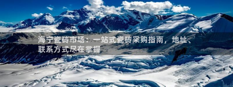 杏鑫平台登录地址查询