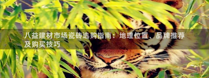 杏鑫平台登录地址查询