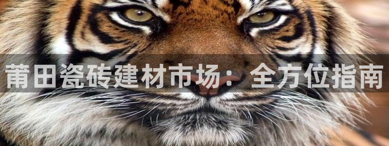 杏鑫代理注册登录