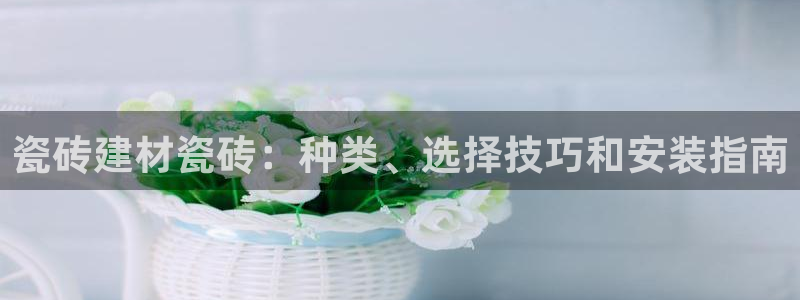 杏鑫平台念7O777