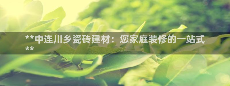 杏鑫平台代理怎么做赚钱