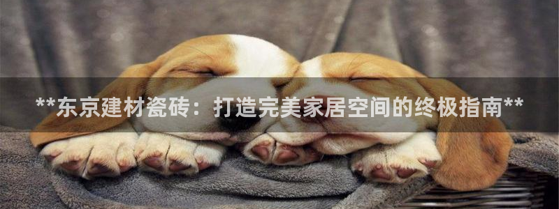 杏鑫平台念7O777