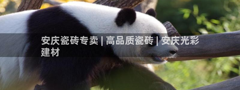 杏鑫娱乐官方网站客户端下载