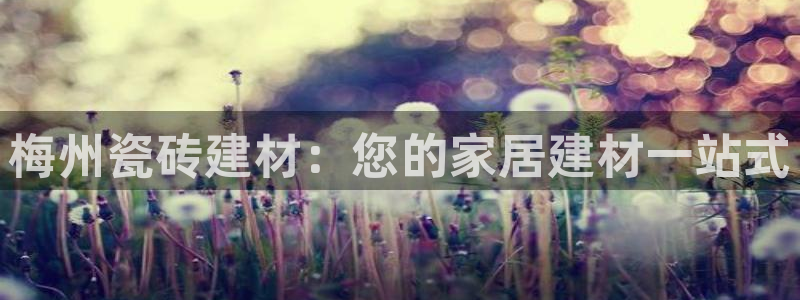 杏鑫官方app代理