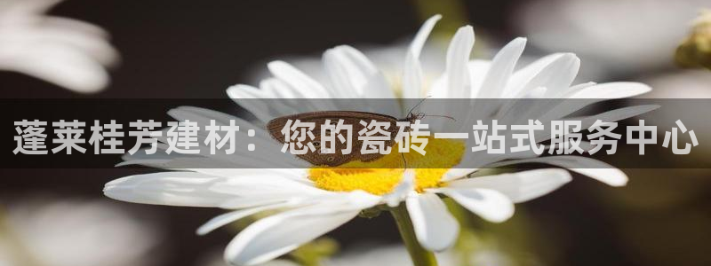 杏鑫平台测速怎么样