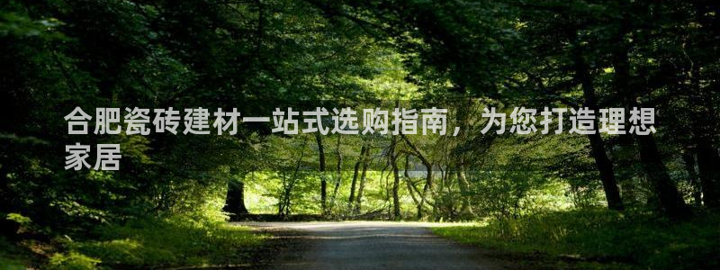 杏鑫平台代理注册流程图