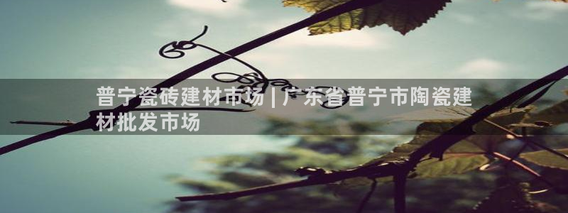 杏鑫娱乐开发团队