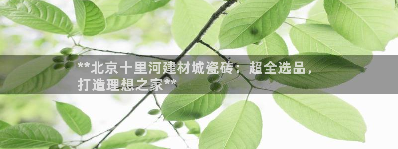 杏鑫娱乐-官方网站