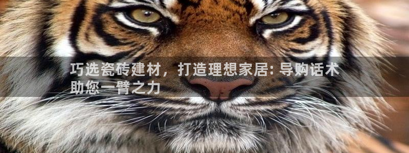杏鑫平台招商电话