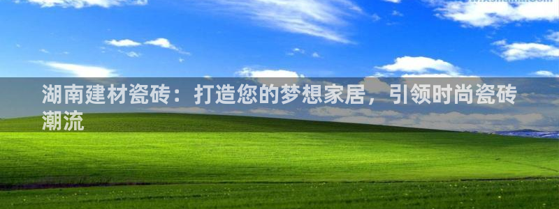 杏鑫官网