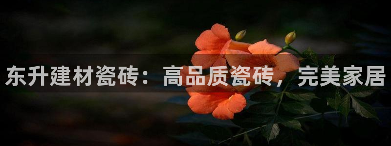 杏鑫平台怎么样黑钱吗安全吗
