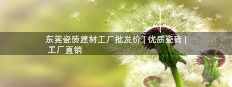 杏鑫平台直属