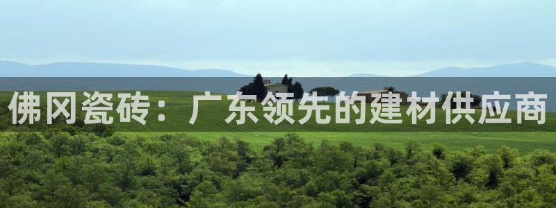 杏鑫代理注册资金多少