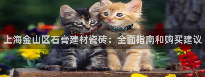 杏鑫娱乐-官方网站