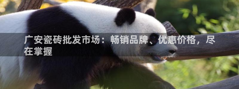 杏鑫娱乐官网下载