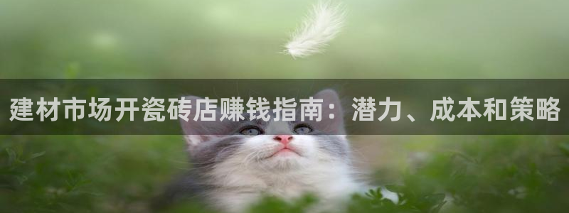杏鑫招商总代