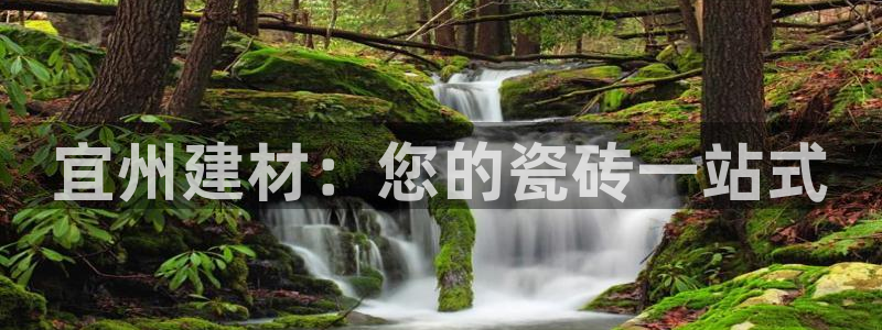 杏鑫代理注册登录