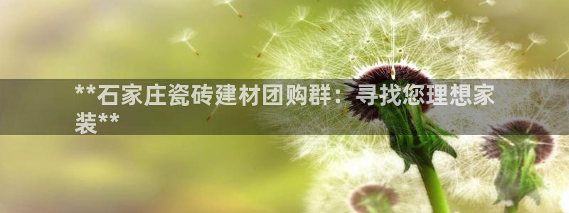 杏鑫平台代理怎么样啊