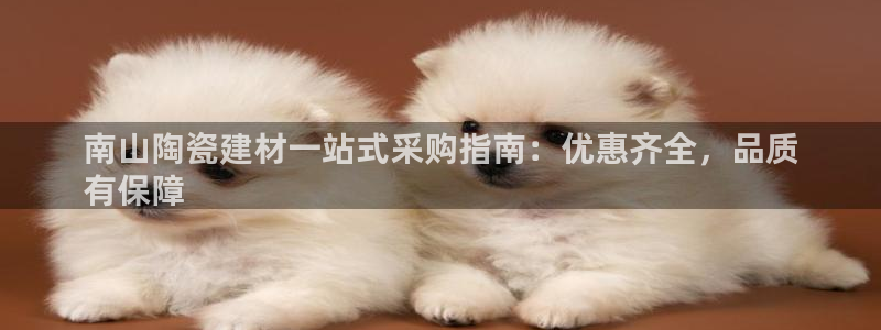 杏鑫官网最新信息