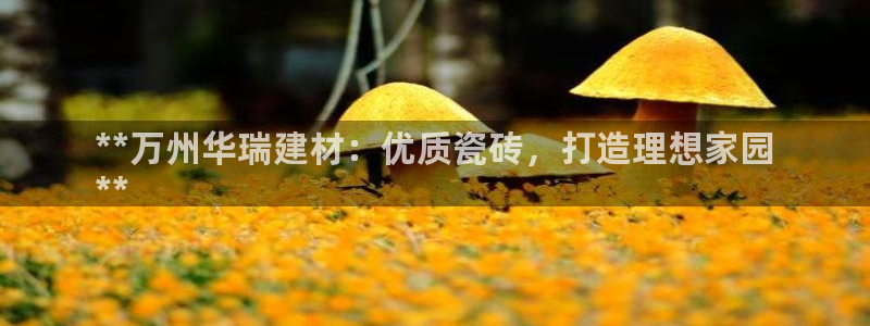 杏鑫平台代理注册登录不了怎么办呀