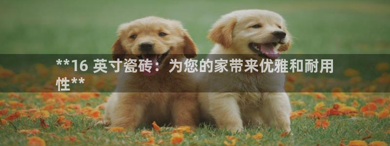 杏鑫娱乐平台测速怎么样