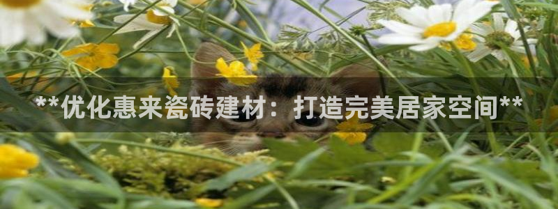 杏鑫平台代理注册登录不了怎么办呀