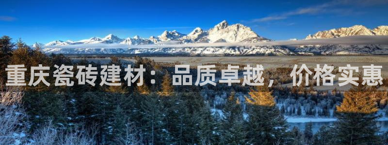 杏鑫平台代理注册流程及费用