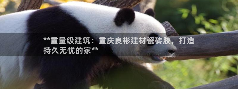 杏鑫官网注册账号密码