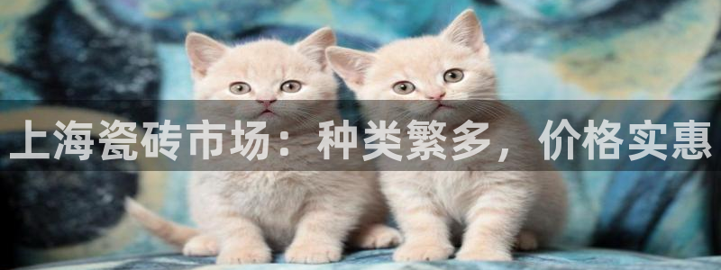 杏鑫平台登陆