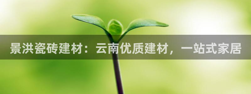 杏鑫平台在线注册怎么注册