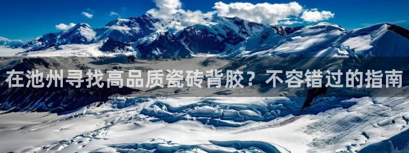 杏鑫官网最新信息