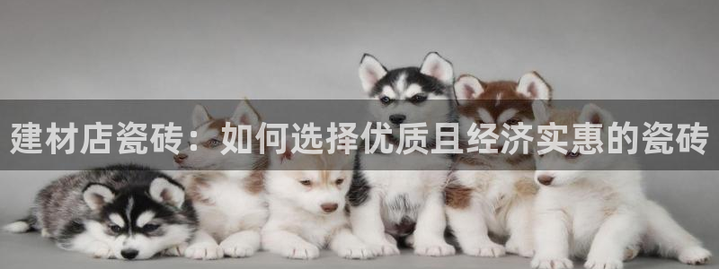 杏鑫官方app代理