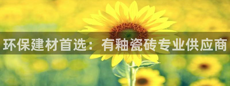 杏鑫平台招商电话号码查询