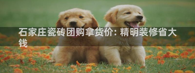 杏鑫注册登录代理公司