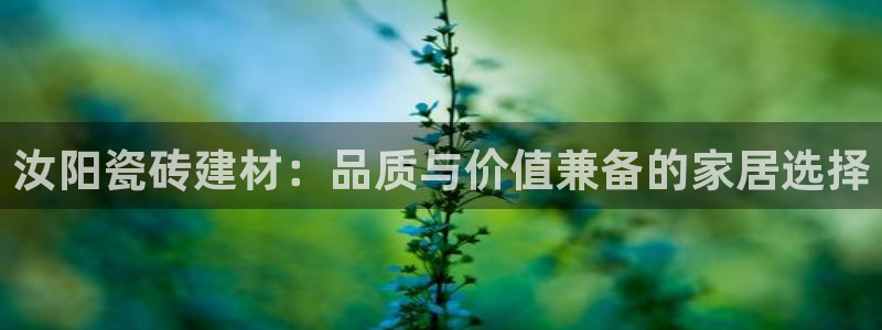杏鑫平台是黑平台吗是真的吗